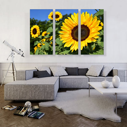 Sunflower Field Home decor