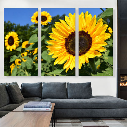 Sunflower Field Home decor