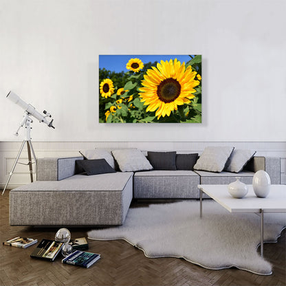 Sunflower Field Home decor