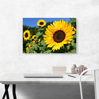 Sunflower Field Home decor