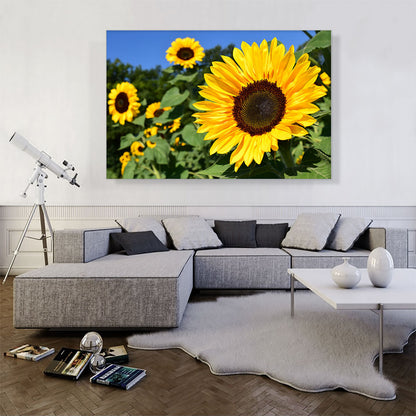 Sunflower Field Home decor