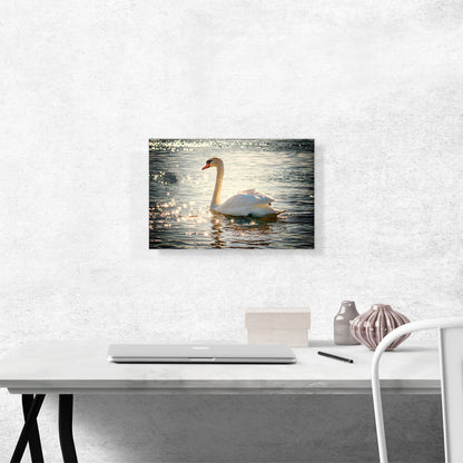 Swan In Lake Home Decor Rectangle