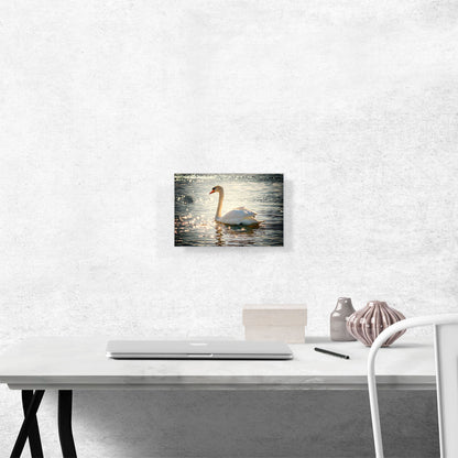 Swan In Lake Home Decor Rectangle