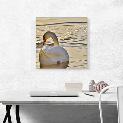 Swan In Lake Home Decor Square
