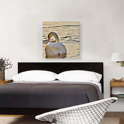 Swan In Lake Home Decor Square