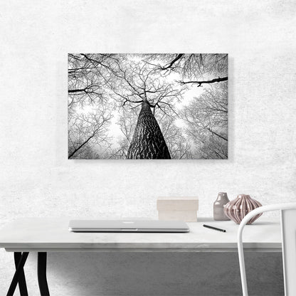 Tall Tree Branches Home Decor Rectangle