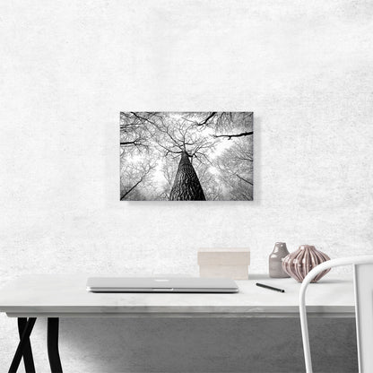 Tall Tree Branches Home Decor Rectangle
