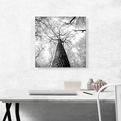 Tall Tree Branches Home Decor Square