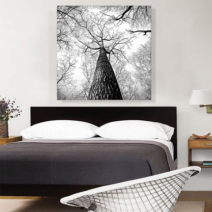 Tall Tree Branches Home Decor Square