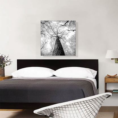 Tall Tree Branches Home Decor Square