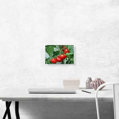 Tomato Plant Diner Restaurant decor