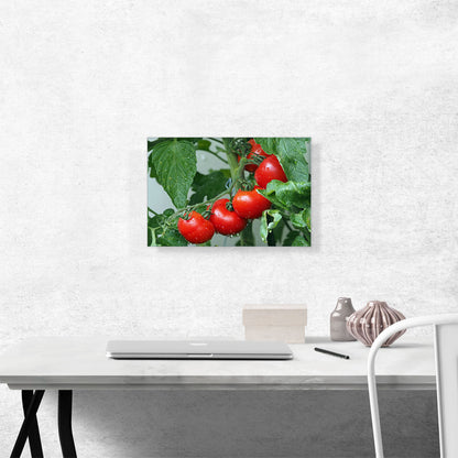 Tomato Plant Diner Restaurant decor