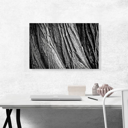 Tree Bark Home decor