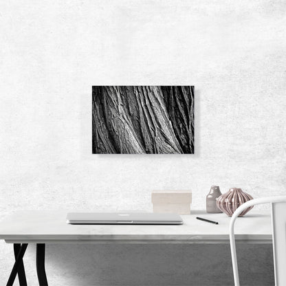 Tree Bark Home decor