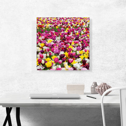 Tulips Pattern Home Decor Square