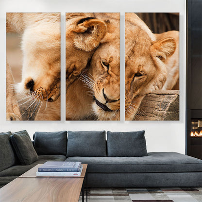 Two Lionesses Playing