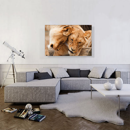 Two Lionesses Playing