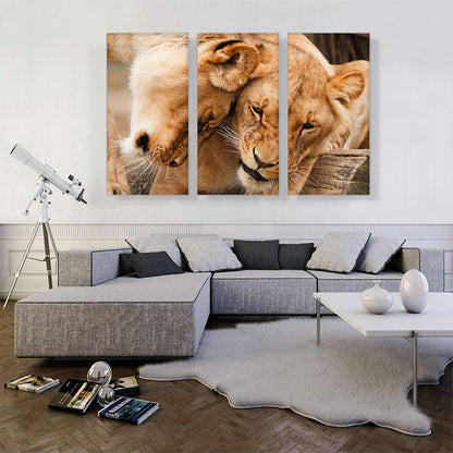 Two Lionesses Playing