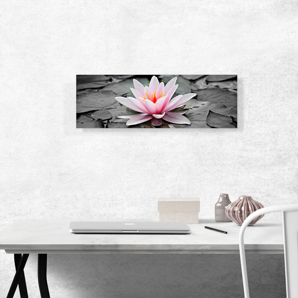 Water Lily Lotus Home Decor Panoramic
