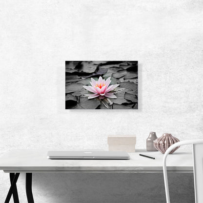 Water Lily Lotus Home Decor Rectangle