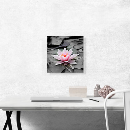 Water Lily Lotus Home Decor Square