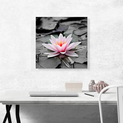 Water Lily Lotus Home Decor Square