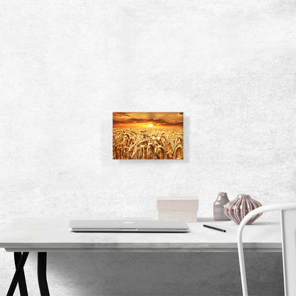 Wheat Field Home decor