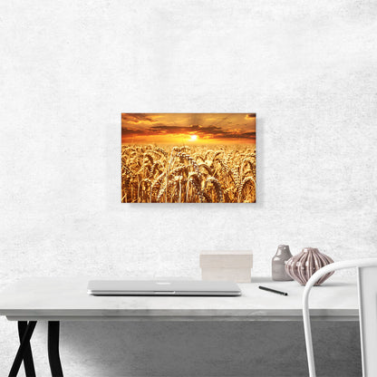 Wheat Field Home decor