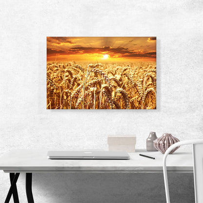 Wheat Field Home decor