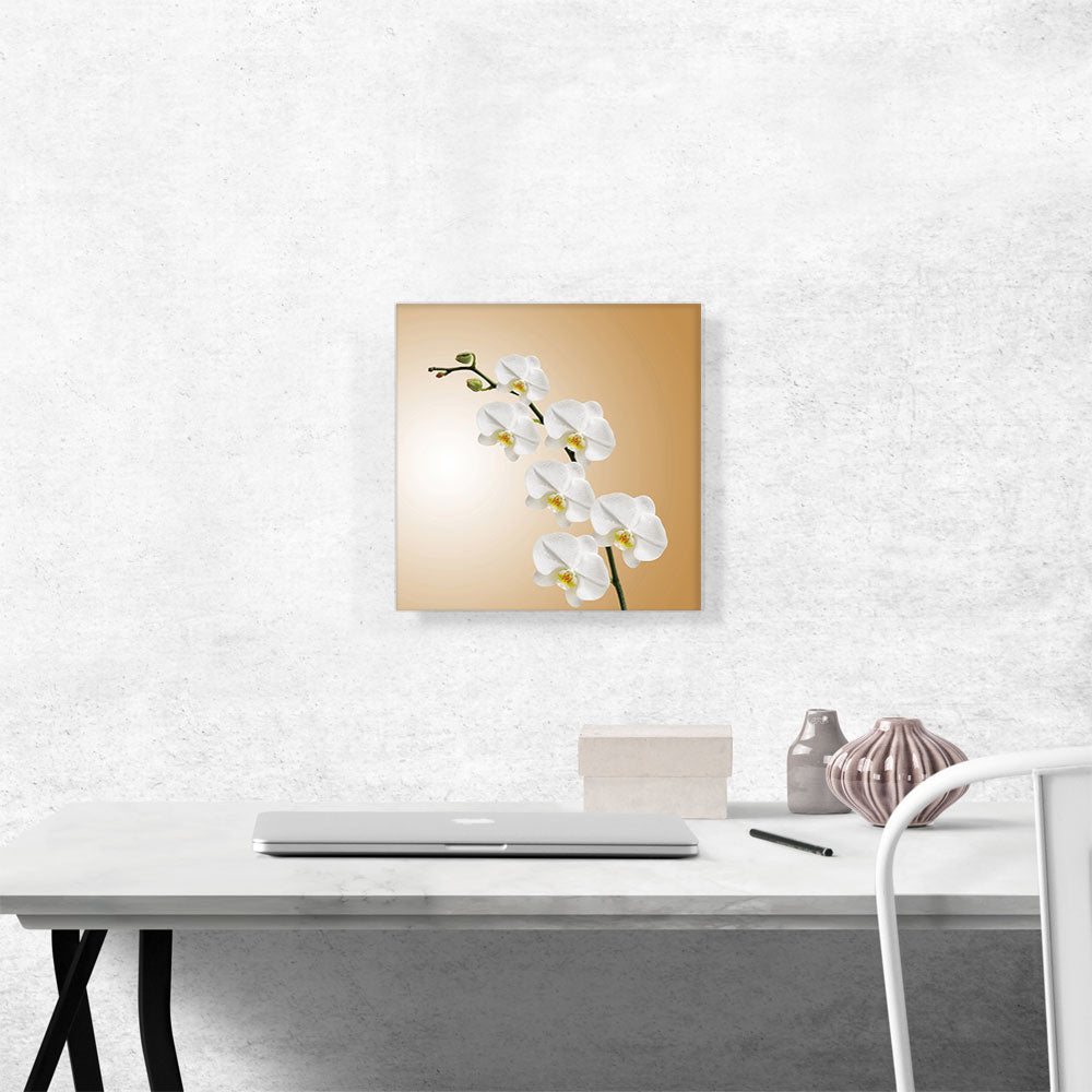 White Blossom Flowers Home decor