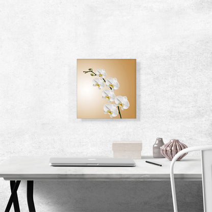 White Blossom Flowers Home decor