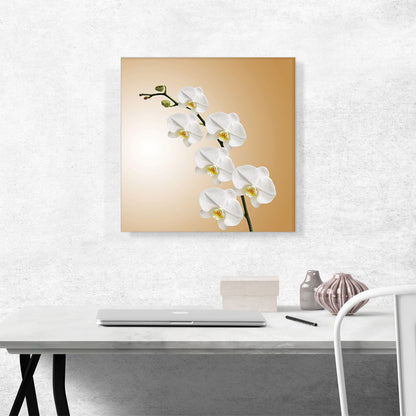 White Blossom Flowers Home decor