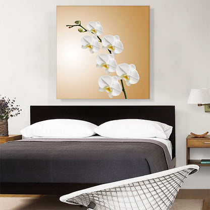 White Blossom Flowers Home decor