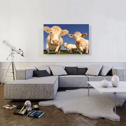 White Cows In The Field Home decor