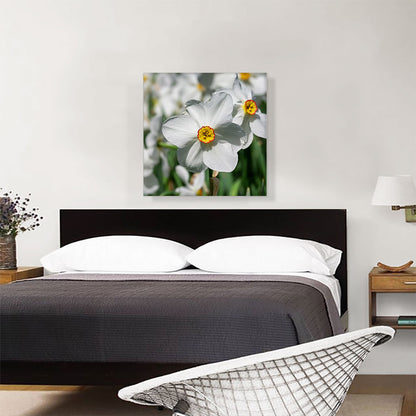 White Daffodil Flower Home decor