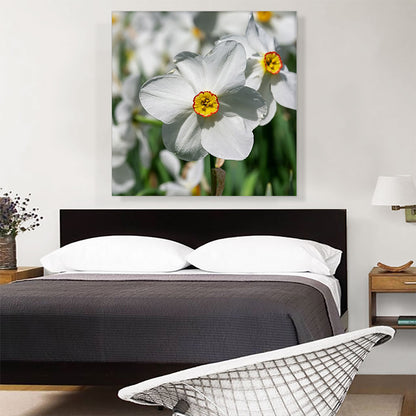 White Daffodil Flower Home decor