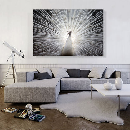White Peacock Home decor