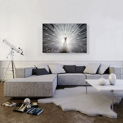 White Peacock Home decor