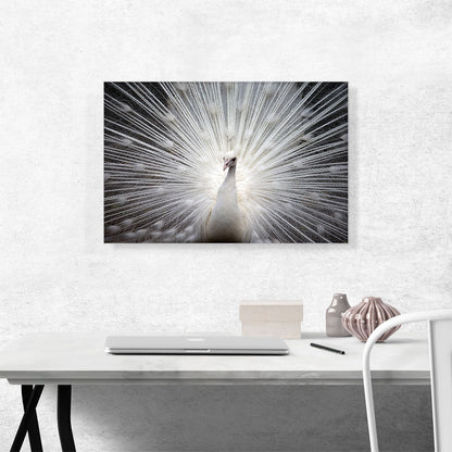 White Peacock Home decor