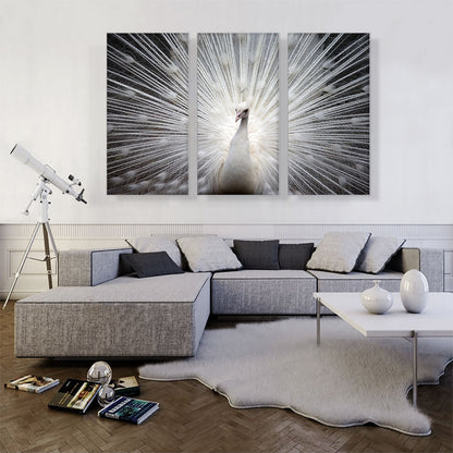 White Peacock Home decor