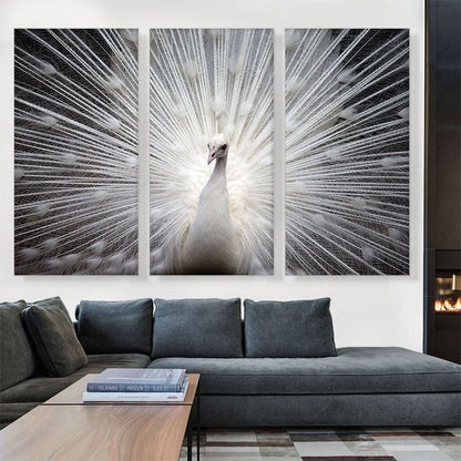White Peacock Home decor