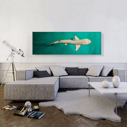 Whitetip Reef Shark Panoramic