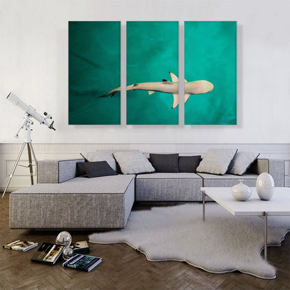 Whitetip Reef Shark Rectangle