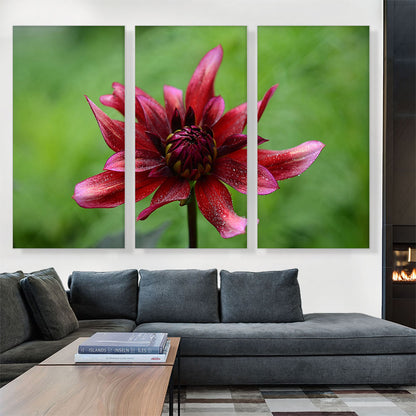 Wild Red Flower Home decor