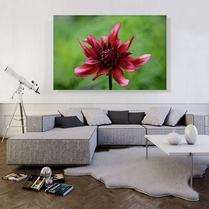 Wild Red Flower Home decor