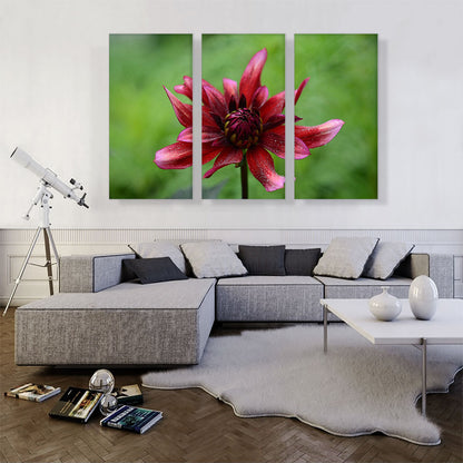 Wild Red Flower Home decor