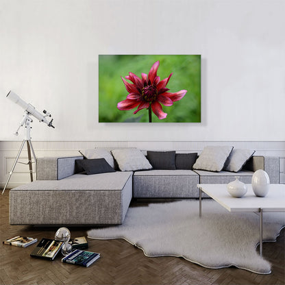 Wild Red Flower Home decor