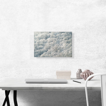Winter Forest Home decor