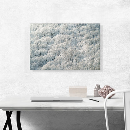 Winter Forest Home decor