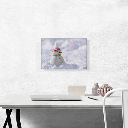 Winter Snowman Home decor